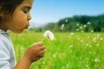 Child blowing on dandelion